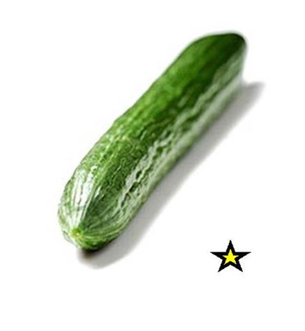 Agurk stk 1