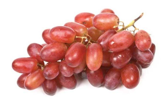 Druer Blå 500gr kurv 0