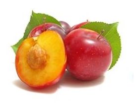 Plommer løse import 2