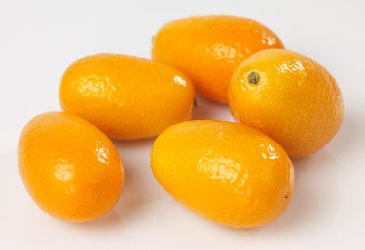 Kumquat 1