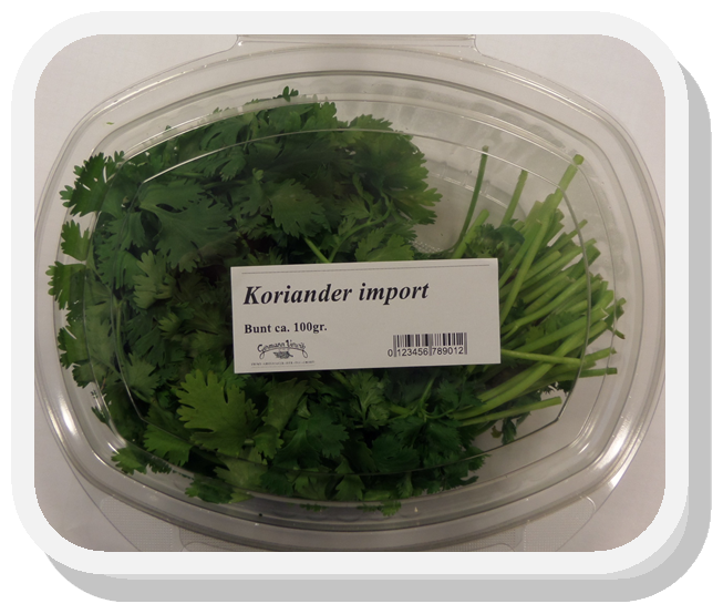 Urter Koriander pk 0