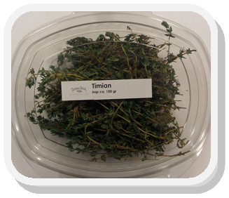 Urter Timian pk 1