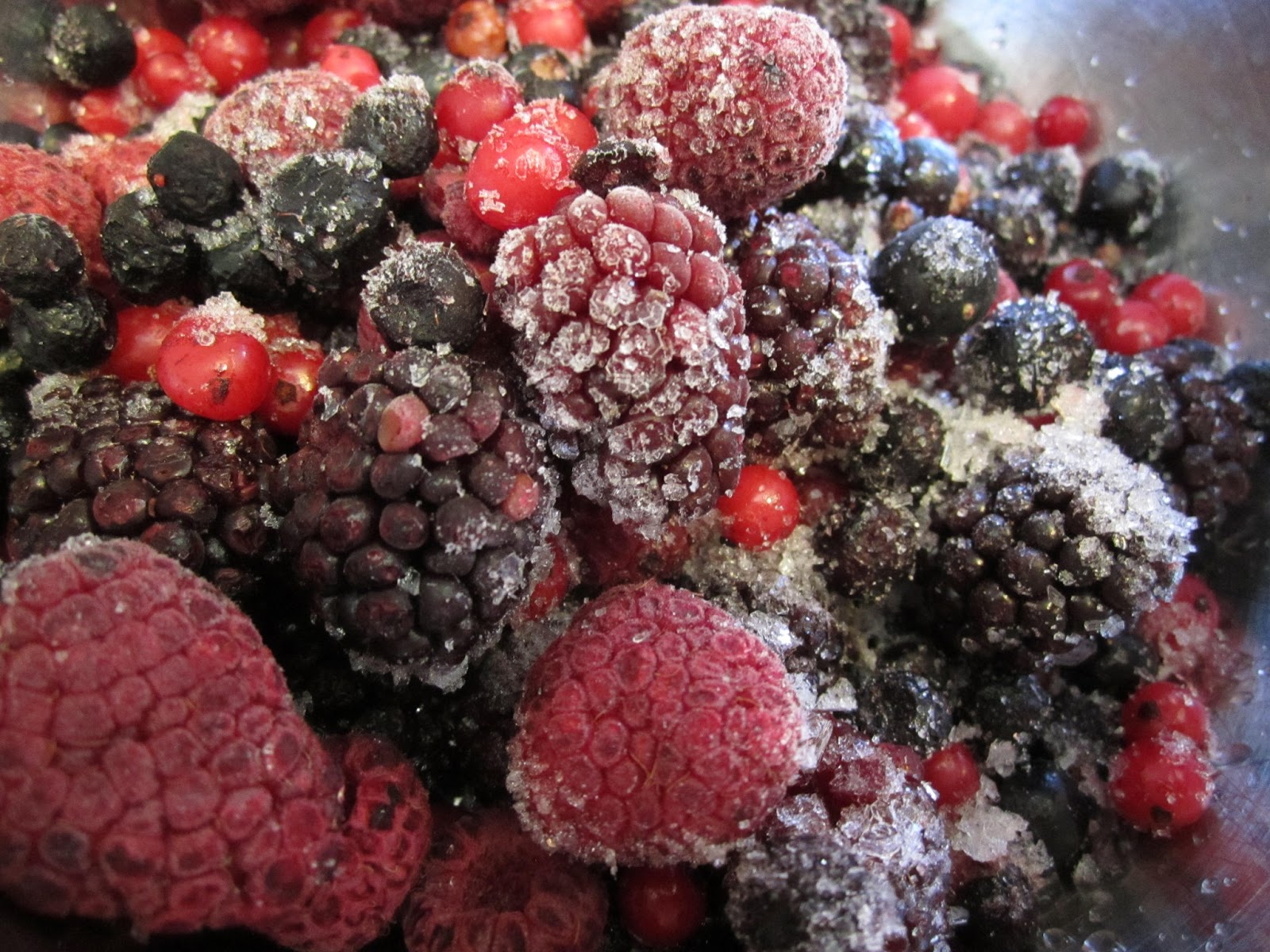 Bær Skogsbær Frys 2,5kgs pk 1